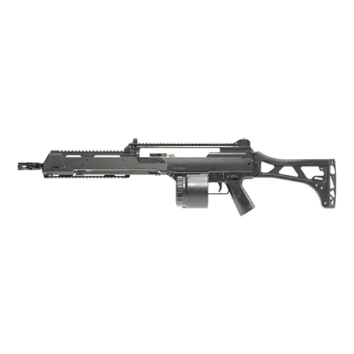 Holger 26 (LMG)