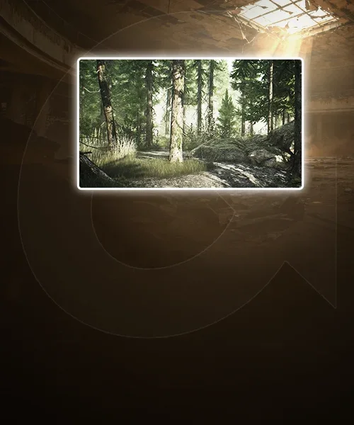 Woods Raid
