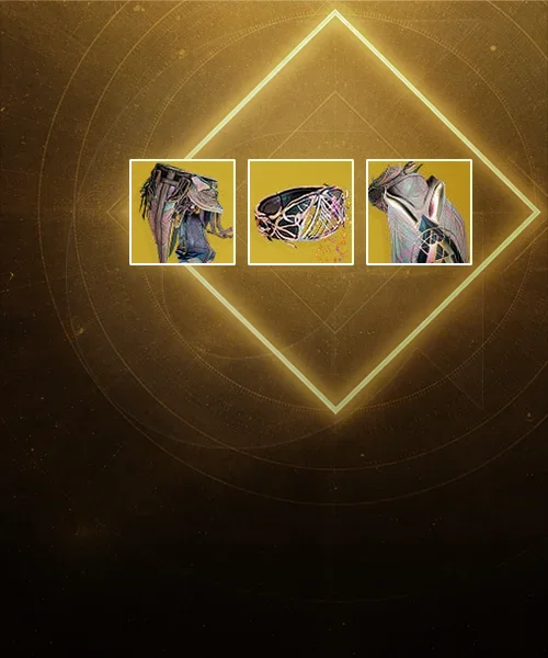 Exotic Class Items