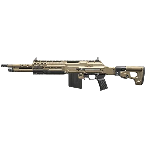 DTIR 30-06 (BR)