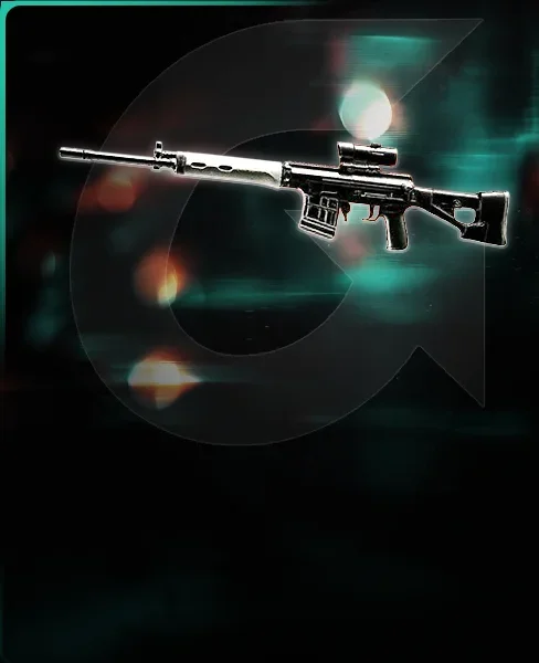 SVDM (DMR)