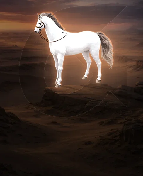 Mounts