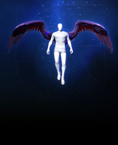 Wings of Nihility
