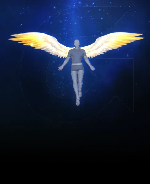 Wings of Legacy
